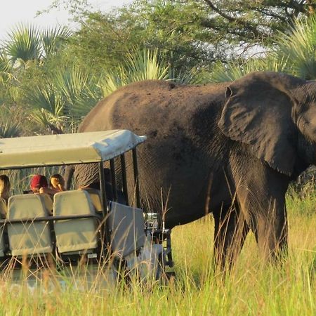 Tembe Elephant Park Lodge Sihangwane Exterior photo